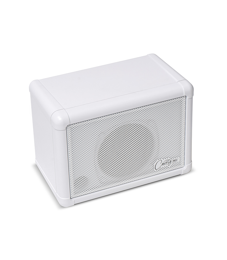 BA267012 Speaker Ext - BA267012 - Melody House Dubai, UAE