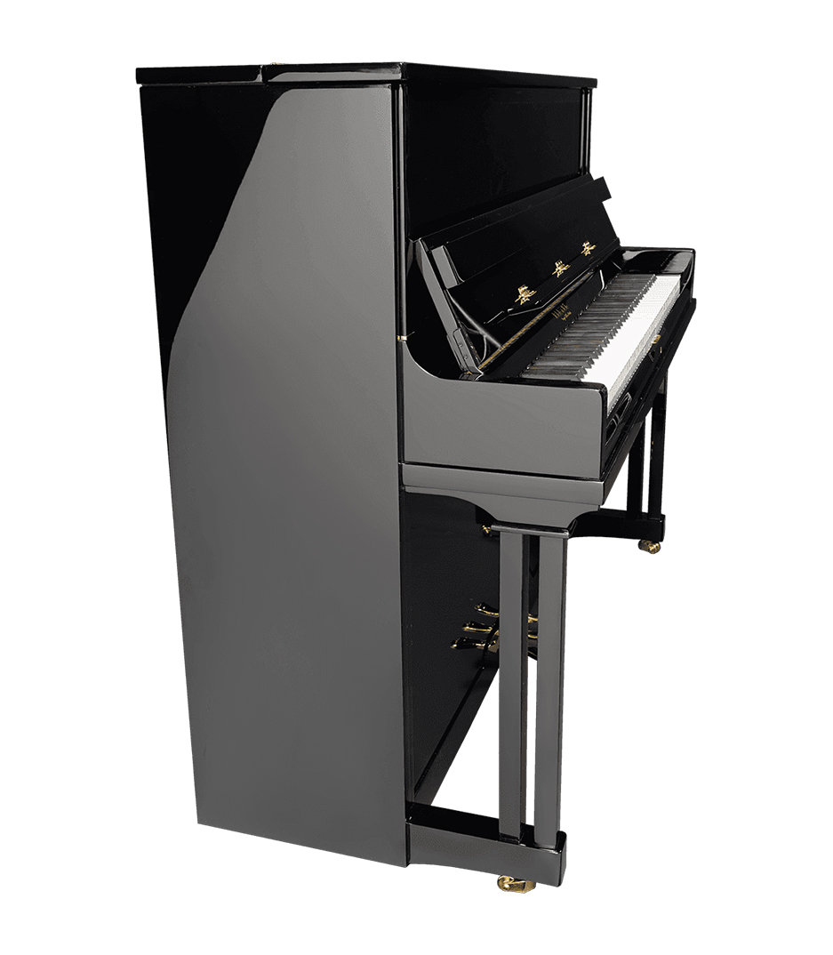 Pleyel - KPL P124-BLK - Melody House Musical Instruments